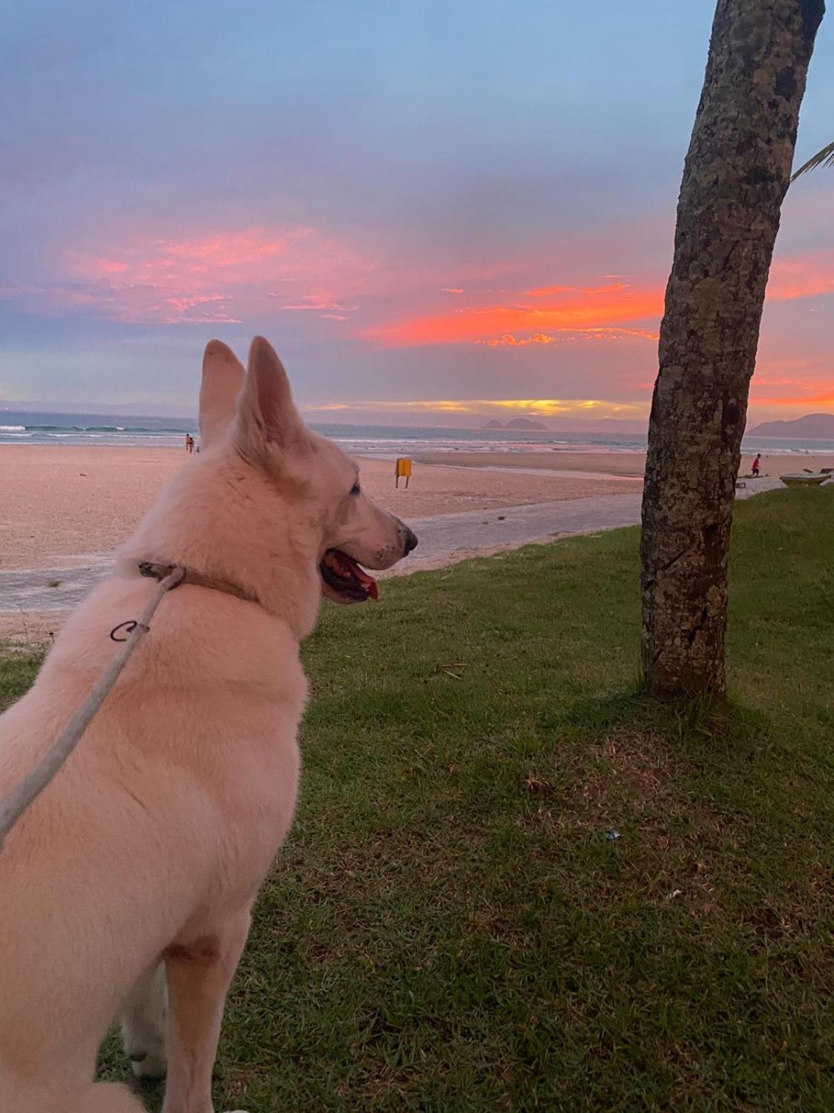 Lelis Casa - Enseada - Guaruja Sp - 02 Qd Da Praia, Conforto E Tranquilidade Zewnętrze zdjęcie